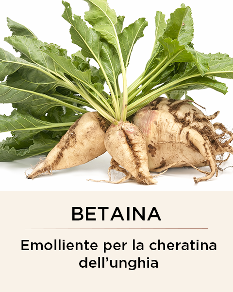 betaina