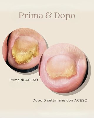 ibx_famousnamesitalia_ladybird_1759140324_3732261885895095508_3247212373