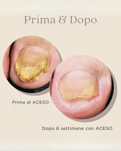 ibx_famousnamesitalia_ladybird_1759140324_3732261885895095508_3247212373