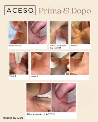 ibx_famousnamesitalia_ladybird_1764673413_3778676673022373119_3247212373