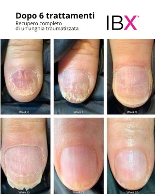 ibx_famousnamesitalia_ladybird_1770217703_3825185664267361505_3247212373