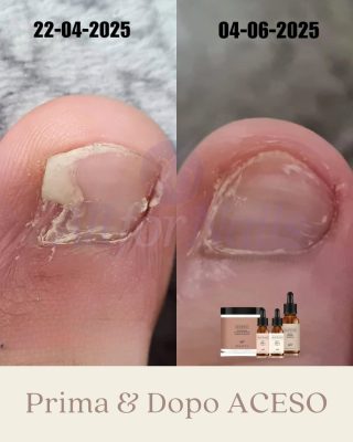 ibx_famousnamesitalia_ladybird_1771164890_3833131094213034239_3247212373