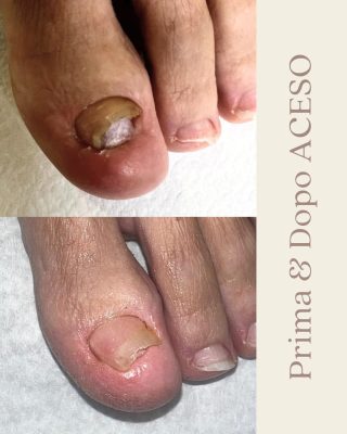 ibx_famousnamesitalia_ladybird_1771515545_3836072594613910291_3247212373